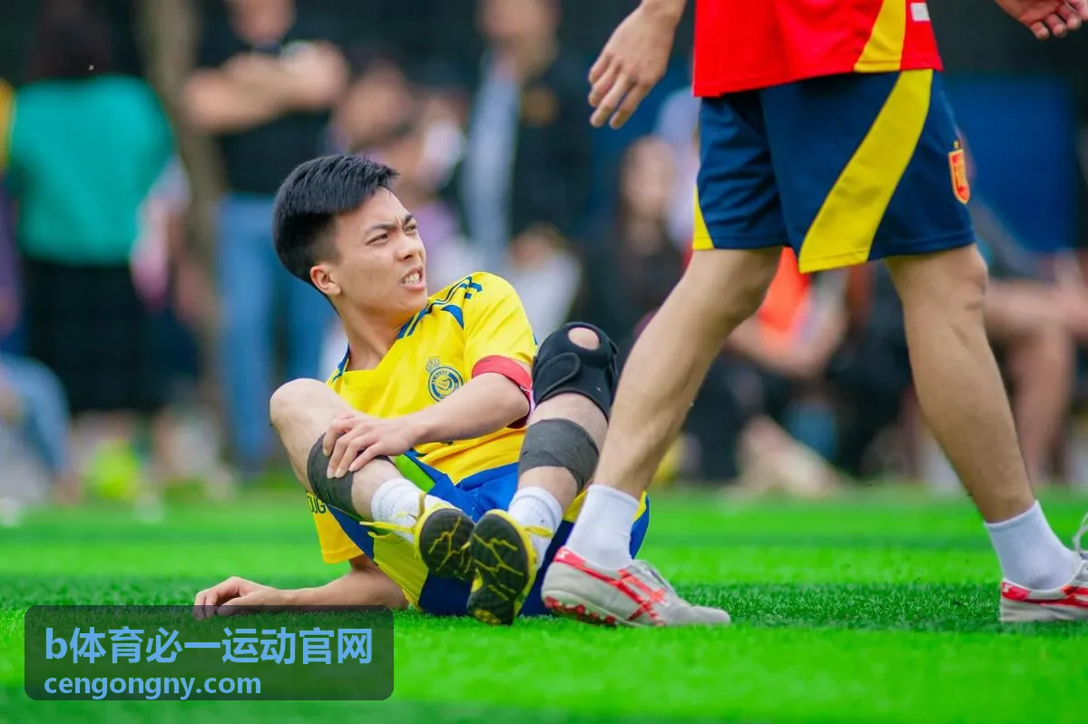 b体育必一运动官网训练课程与计划栏目封面